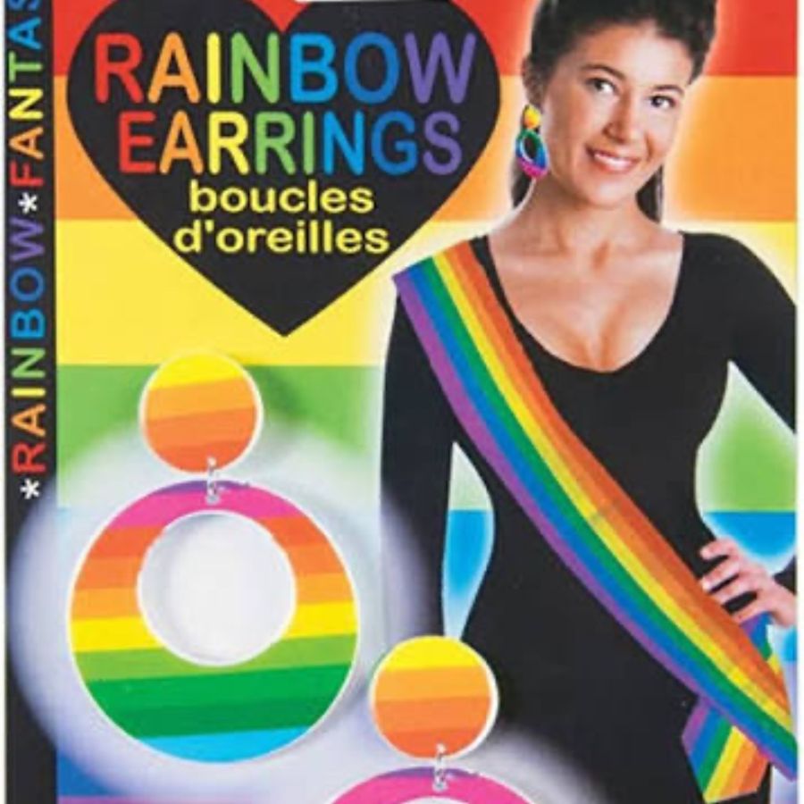 Rainbow Earrings 2pc
